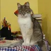 Отзыв от Маргарита Кондратова